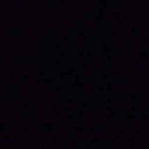 Meet your Posher, Flavia